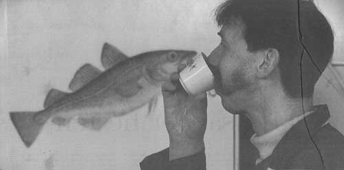 Jeremy WELSH - FISH