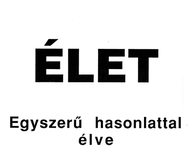 Erdély Miklós: Élet. Egyszerű hasonlattal élve.