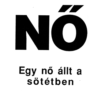 Erdély Miklós: Nő. Egy nő állt a sötétben.