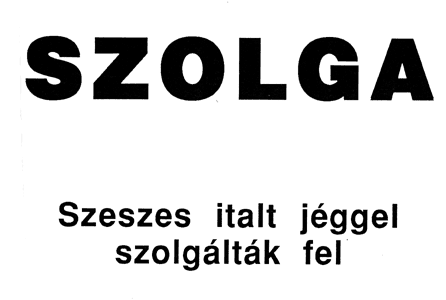 Erdély Miklós: Szolga. Szeszes italt jéggel szolgálták fel.