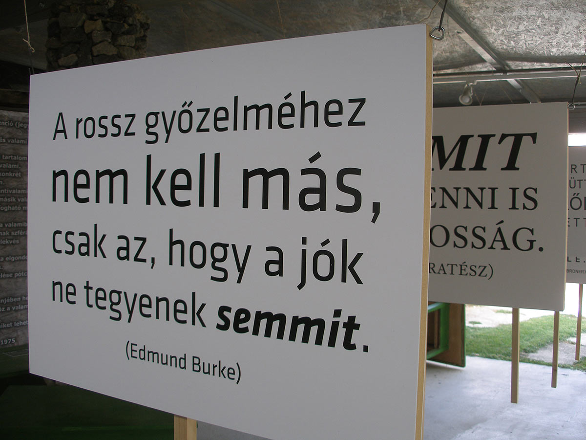 The only thing necessary for the triumph of evil is for good men to do nothing. (Edmund Burke)