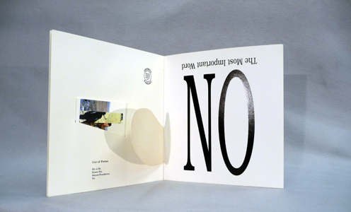 Bookwork by György Galántai, PETRIfied forEAST, 1990.