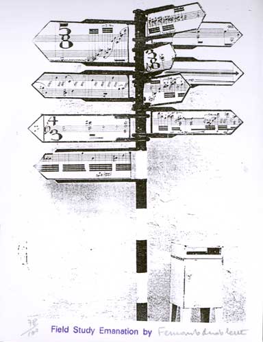 Fernando ANDOLCETTI: Field Report 1999 / Field Study Emanation